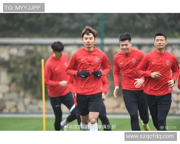 成都网球队灵活性分析与提升策略探讨