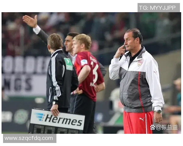 杭州网球队实力引发热议球迷对其表现产生分歧与争论