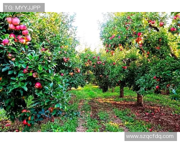 果园生态系统的可持续发展与现代农业技术创新探讨